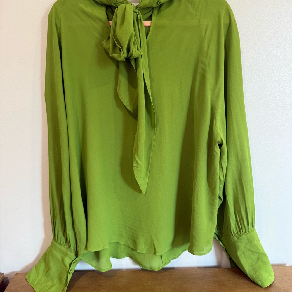 Zara | Green Flowy Satin Drape Long Sleeve Blouse - Picture 14 of 16